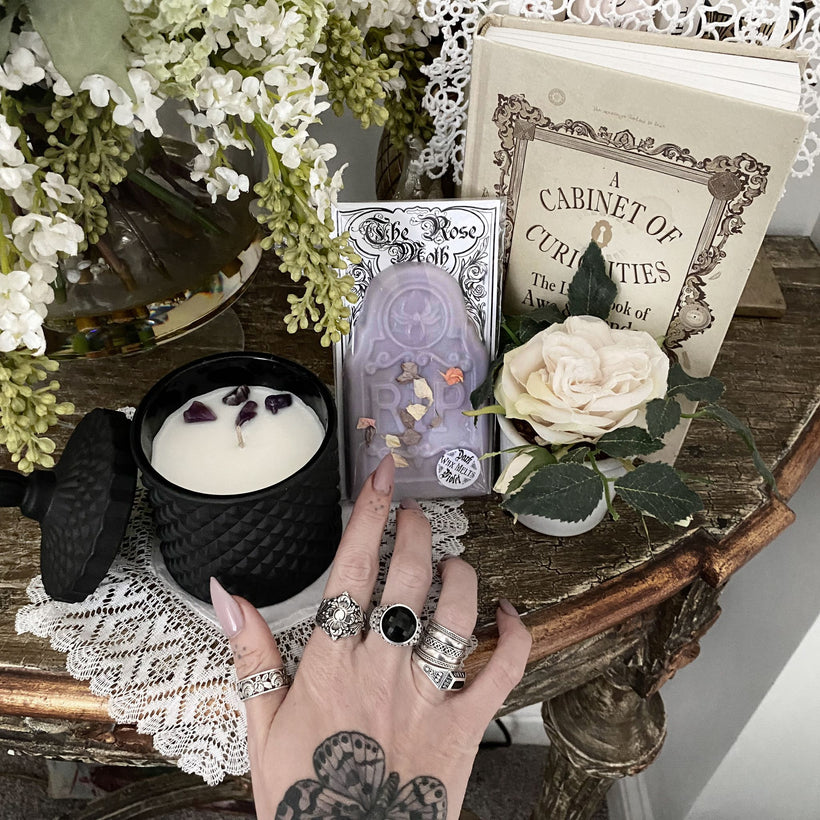 The Rose Moth x The Cabinet of Curiosities