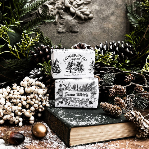 Christmas Soap Duo