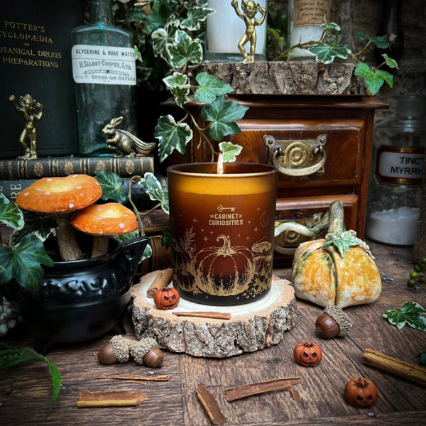 Haunted Harvest Candle - Pumpkin Clove