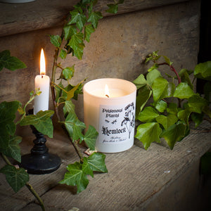 Poisonous Plants - Hemlock Candle