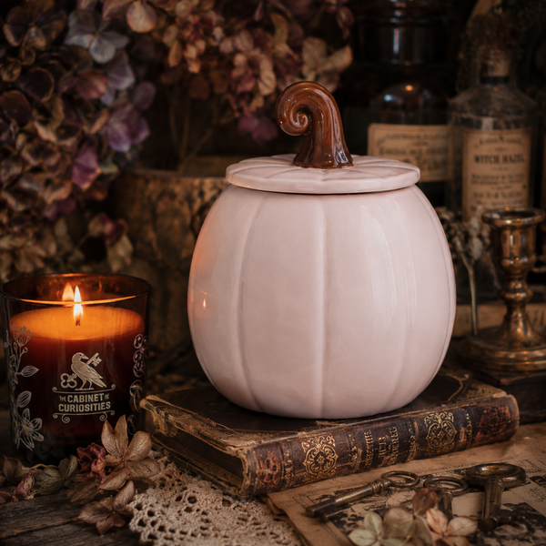 Pink Curly Pumpkin Oil Burner