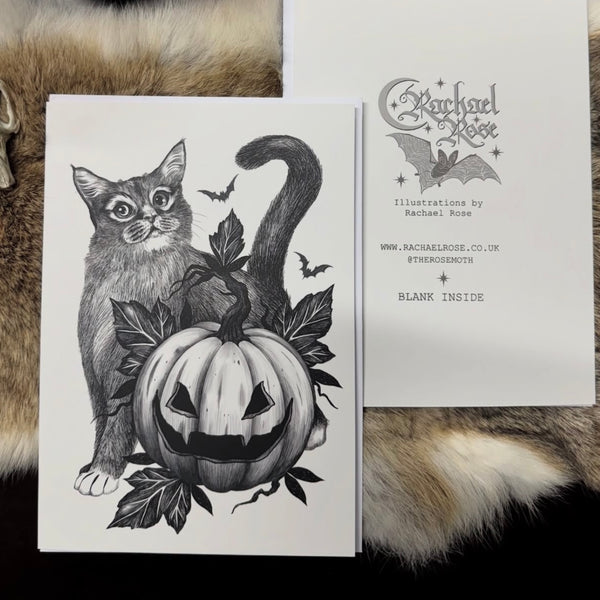 Set of 4 Rachael Rose Art Print Cards