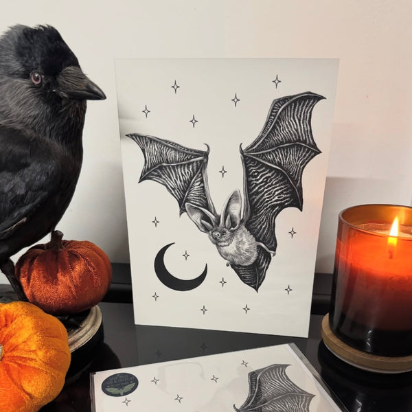 Set of 4 Rachael Rose Art Print Cards