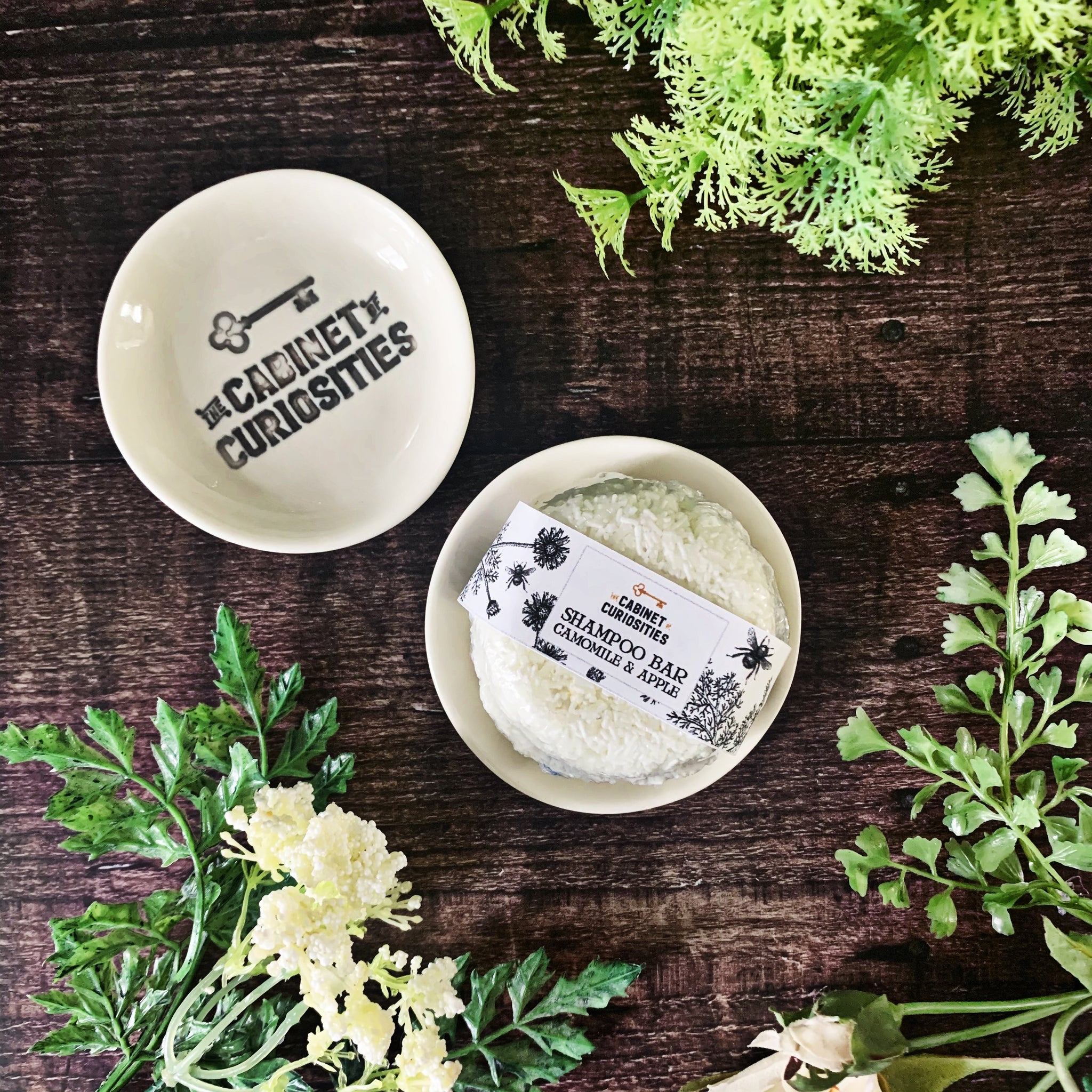 Cabinet of Curiosities Shampoo Bar / Trinket Dish